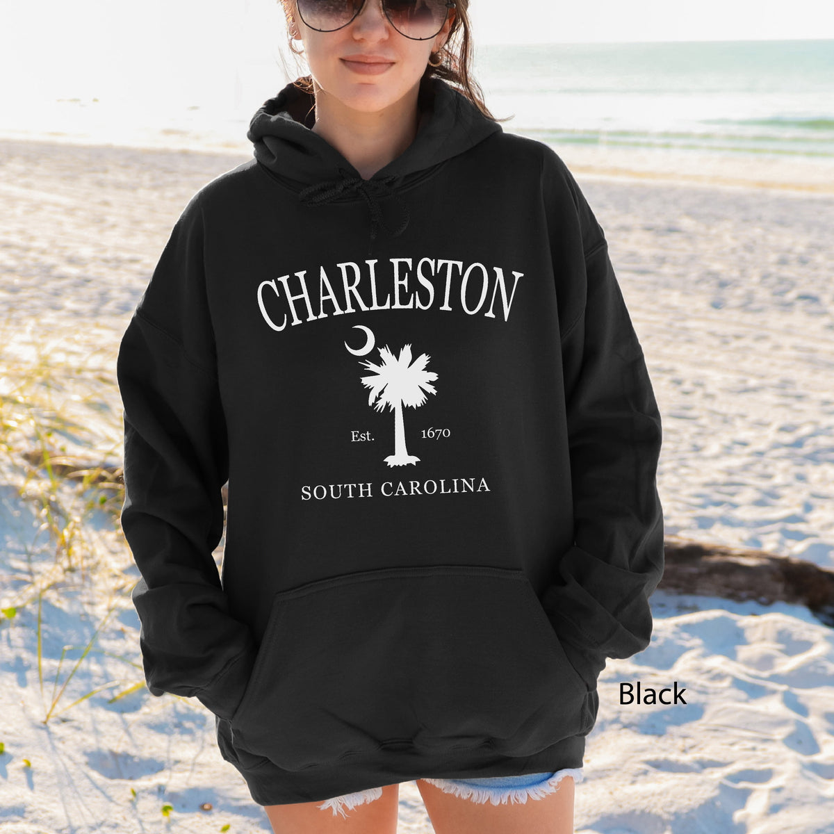 Charleston South Carolina Vintage Palmetto Moon Hoodie