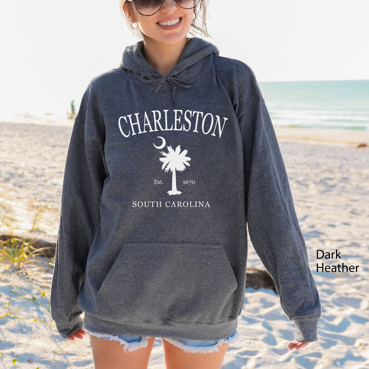 Charleston South Carolina palmetto moon hoodie in dark heather gray